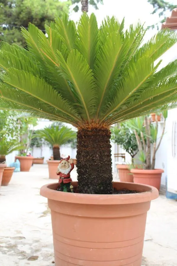 Apartament I Giardini Di Edicart Bari